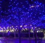 Holiday lights