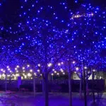 Holiday lights