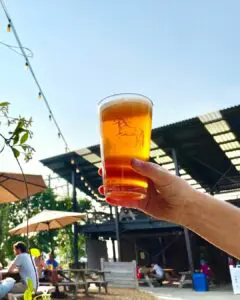 Ponysaurus Brewing Co.