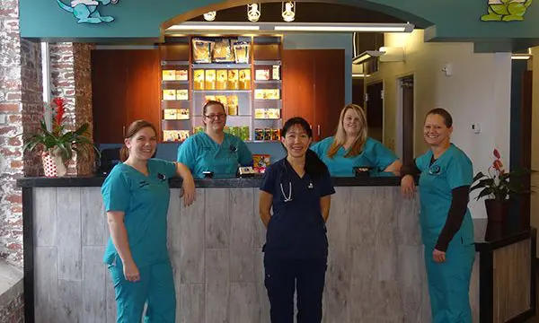BullCityVeterinaryHospital.jpg