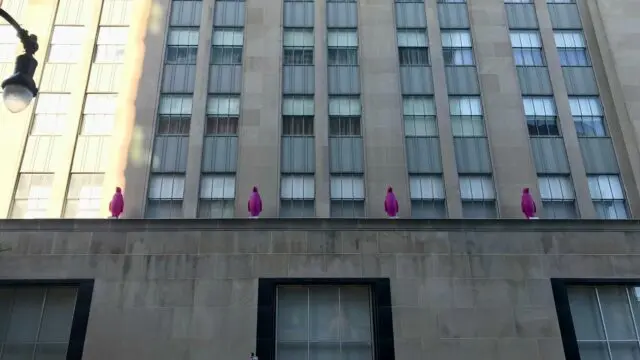 21c4
