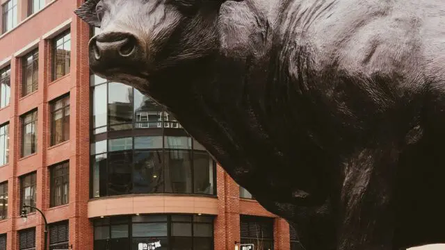 Bull3