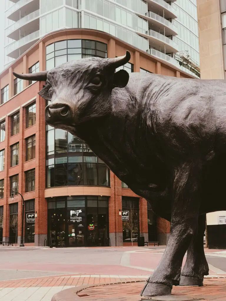 Bull3
