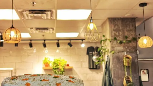 LBB8