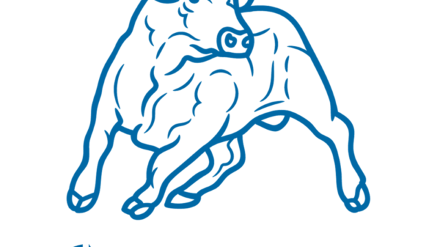 BullIG