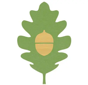 acorn1