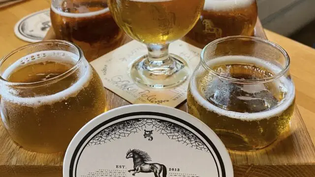 pony6