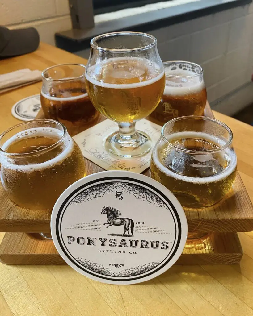 pony6
