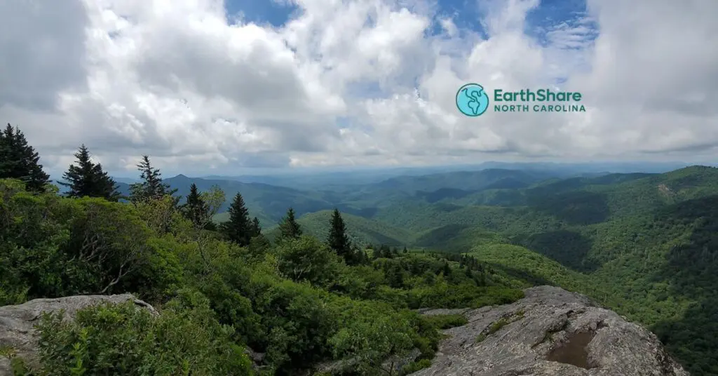 Earthshare1