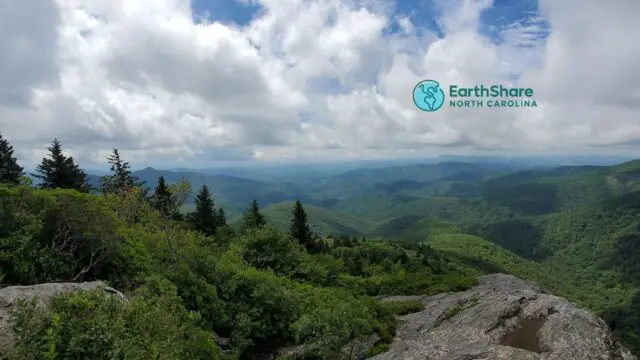 Earthshare1
