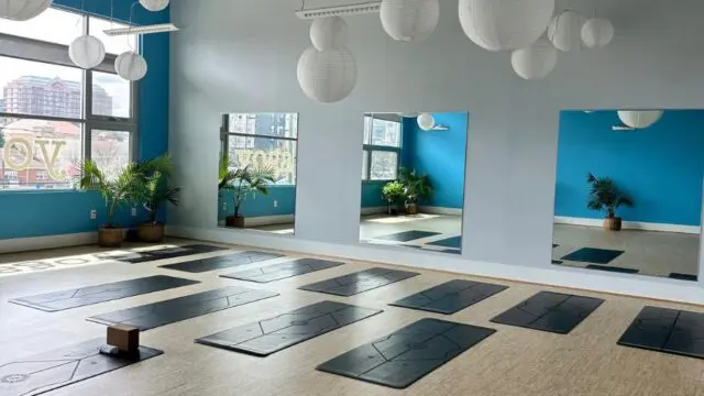 Vyoga5