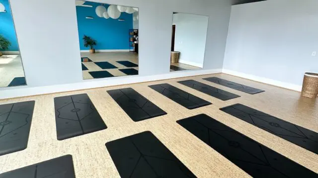 Vyoga6