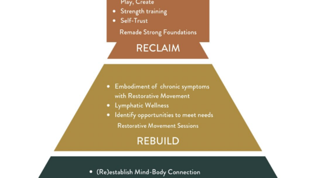 Screenshot 2024-12-09 at 12-53-29 Coach Dani REMADE WELLNESS ® Restorative Movement Coach LMBT (@daniela.spear) • Instagram photos and videos