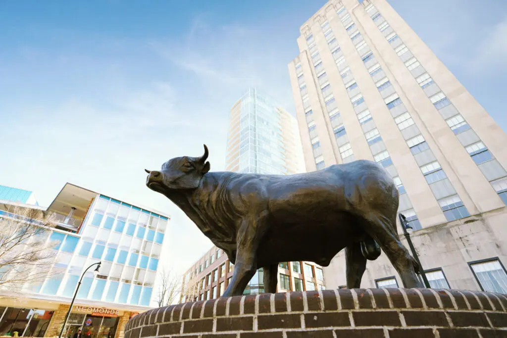 Major the Bull Statue