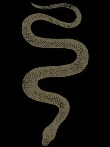 Eve