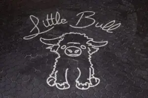 Little Bull