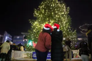 Downtown Durham Tree lighting