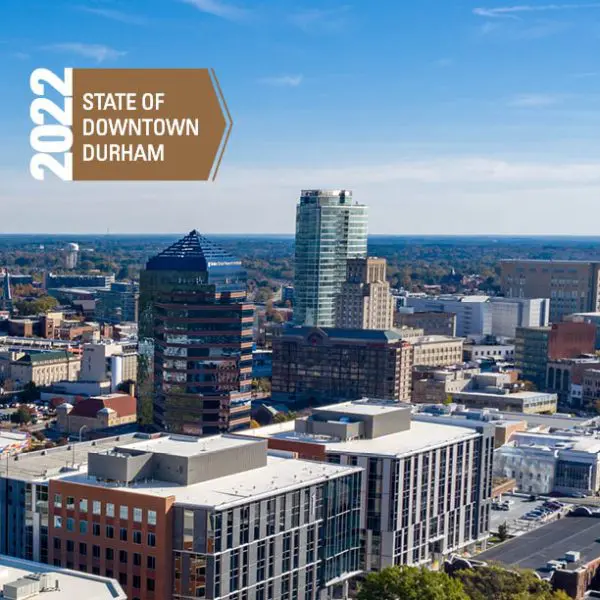 SODD 2022 report cover