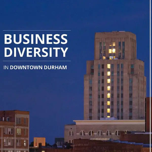 Business Diversity Icon