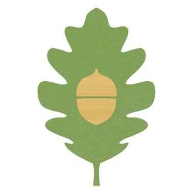 Acorn + Oak