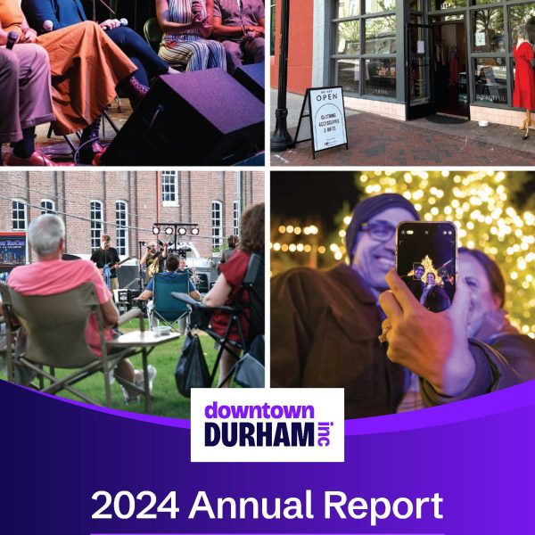 DDI 2024 Annual Report Final_Page_01